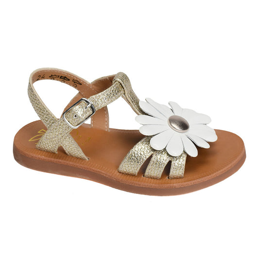 Sandales Plagette Big Flo Pom D’Api Platine Pom d’Api