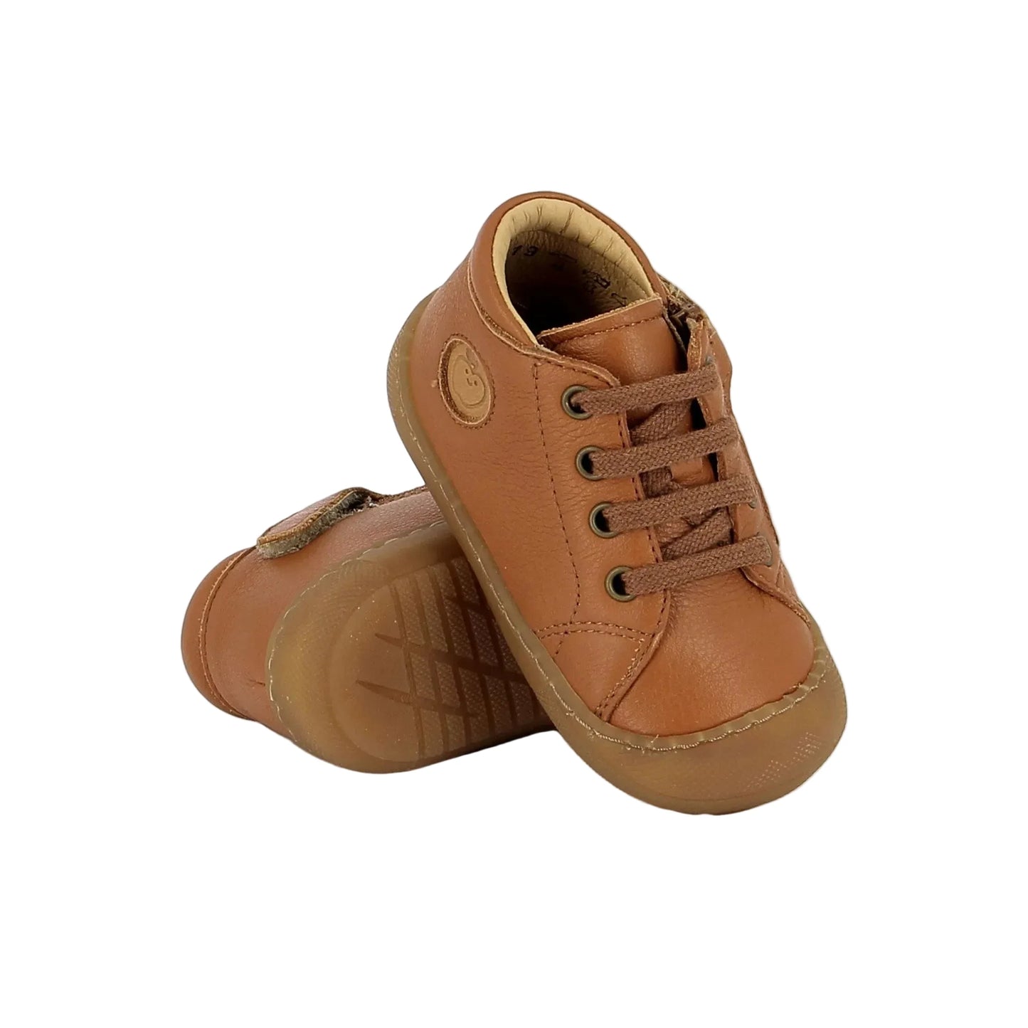 Shoo Pom Schmilblick Camel